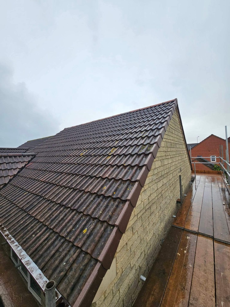 Before and after of roof cleaning service